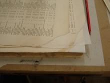 Conservation 4